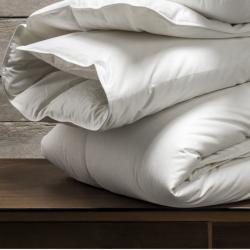 PROMO Couette 220x240 90% duvet de canard 230gr/m², Couleur , L220, l240, H, ALFRED ET COMPAGNIE