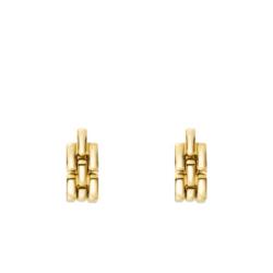 Boucles d'Oreilles Arden en Acier Inoxydable Doré - Fossil