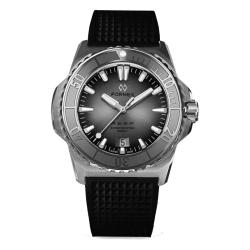 Montre Reef 39.5 mm Automatic Grey dial COSC 300M 2201.1.6341 - Formex