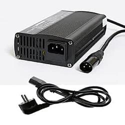 Chargeur de batterie - Scooter Lion/Tiger/FR1 Lion
