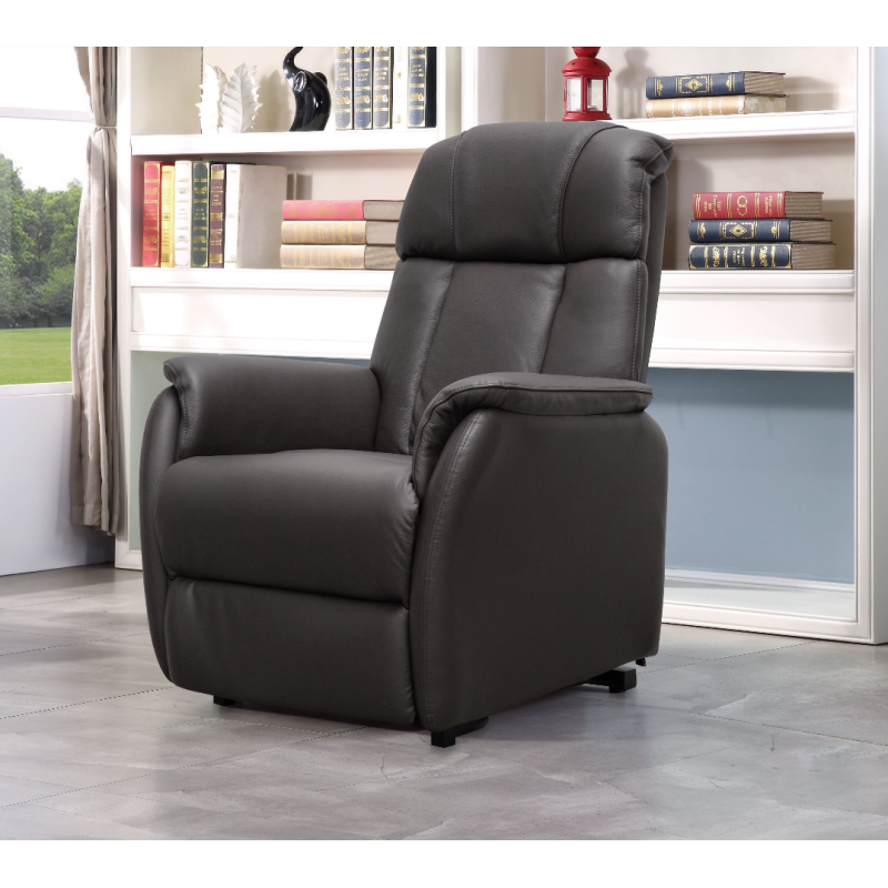 Fauteuil releveur électrique Cuir 2 moteurs Alphonse - Taupe - 95 cm