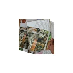 Loupe rigide Page
