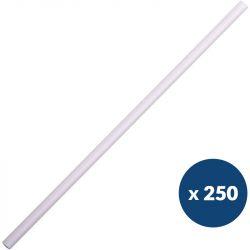 Paille blanche en papier 20 cm x250