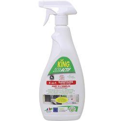 Spray nettoyant virucide 5 en 1 EN14476 Ecocert 750 ml Menthe