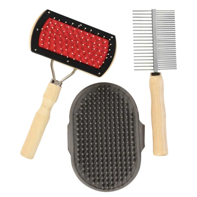 3 Brosses pour Animaux avec Poignées Bois d'Érable Naturel - Ducatillon