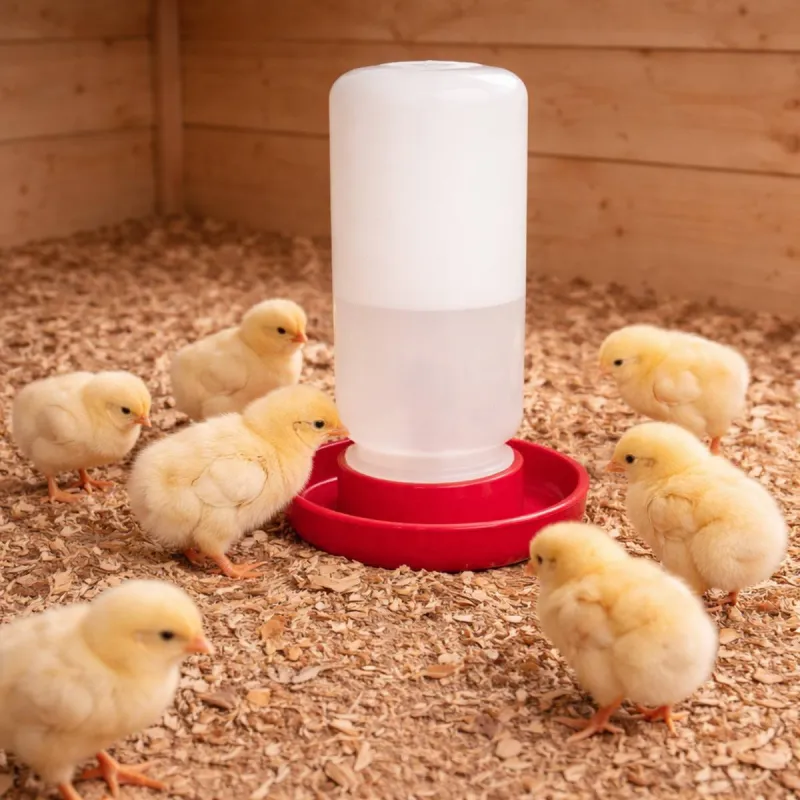 Abreuvoir siphoïde poussins et cailles 1 L fermeture à vis - Olba