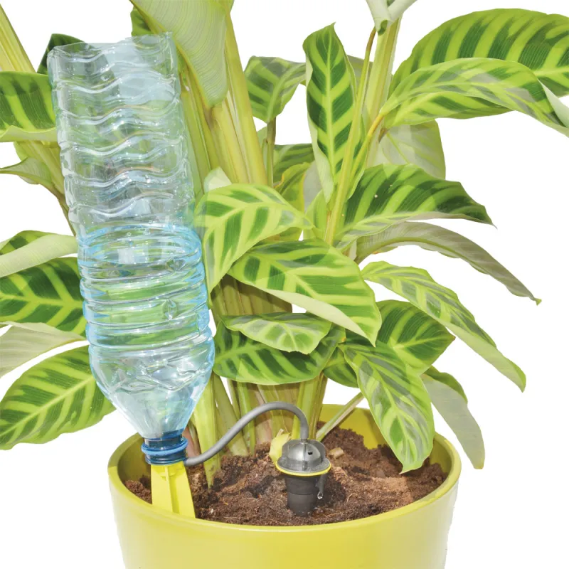 Arrosage goutte à goutte bouteille - Iriso