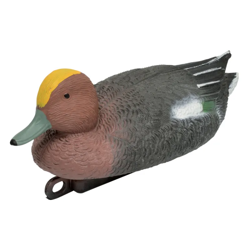 Blette de Siffleur male - Ducatillon