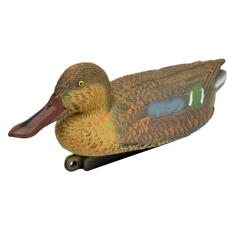 Blette de Souchet femelle - Ducatillon