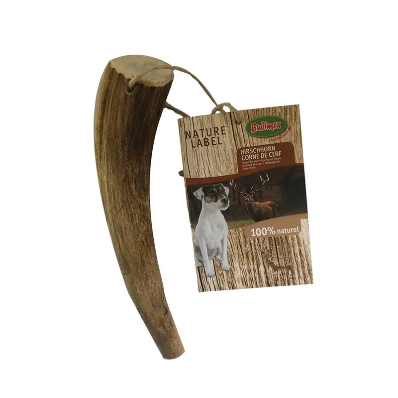 Bois de Cerf Naturel pour Chien - Ducatillon