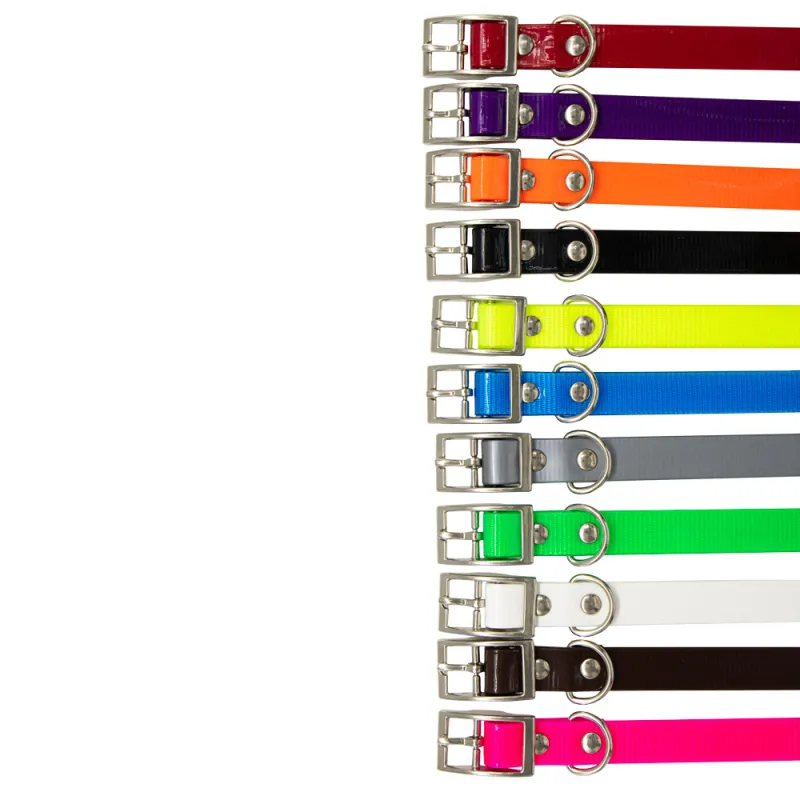 Collier Biogold petit chien ou chiot 11 couleurs - Couleur Orange fluo - BioThane