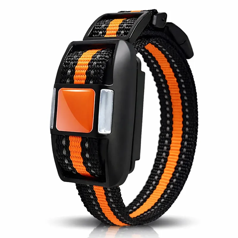 Collier de dressage supplémentaire - 500m - IP67 - Rechargeable - Ducatillon
