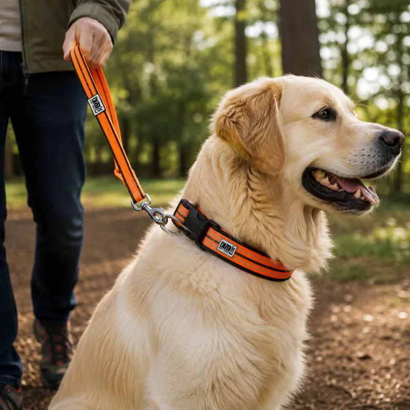 Collier réfléchissant orange néoprène nylon pour chien 50/75 cm - Ducatillon