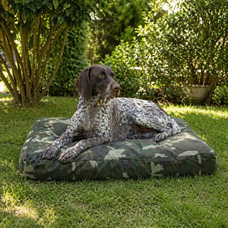 Coussin chien camouflage Taille XL - Ducatillon