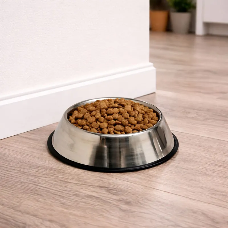 Gamelle pour chien inox fond antidérapant Diam. 24 cm -180 ml - Ducatillon
