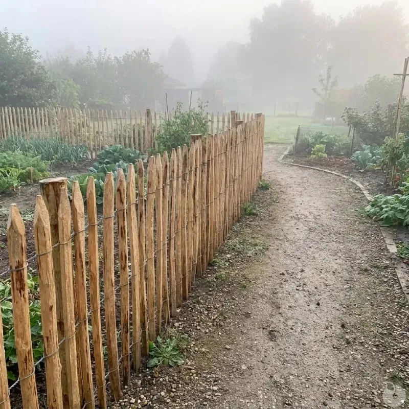 Ganivelle en Châtaignier Certifié PEFC - 10m x 1m - Espacement 6-7 cm - Ducatillon