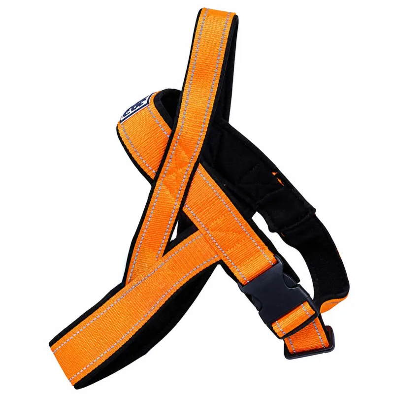 Harnais norvégien réfléchissant orange néoprène nylon 60-70cm - Ducatillon