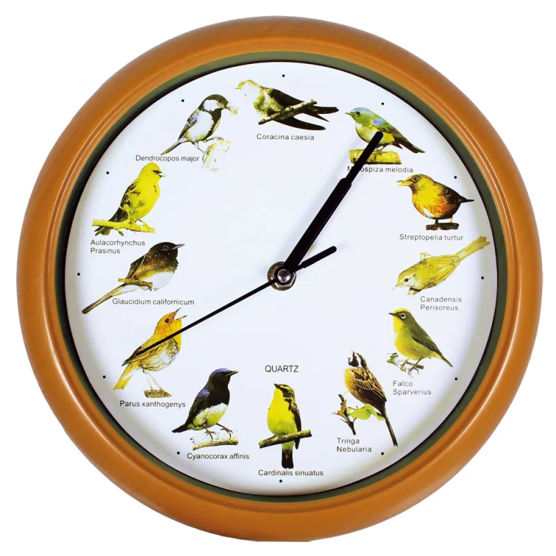 Horloge murale musicale 12 sons de oiseaux 24.5 cm - Ducatillon