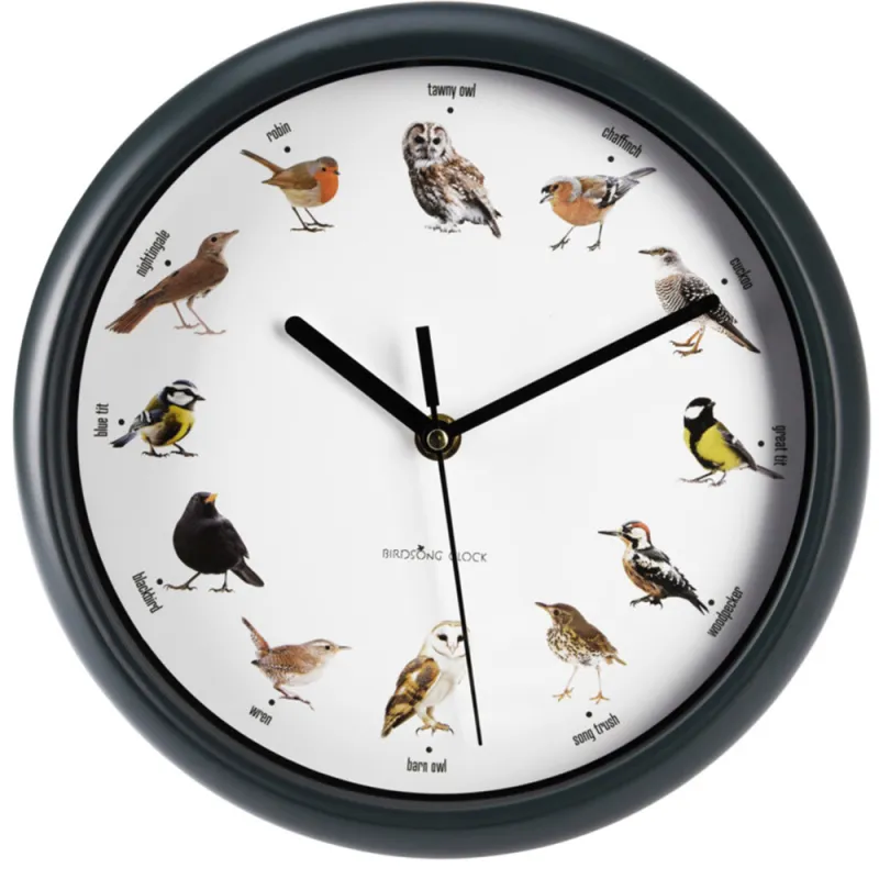 Horloge murale sons oiseaux - Ducatillon