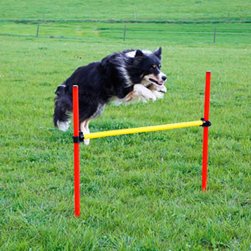 Kit complet d'agilité pour chien Agility en 3 parties - Kerbl