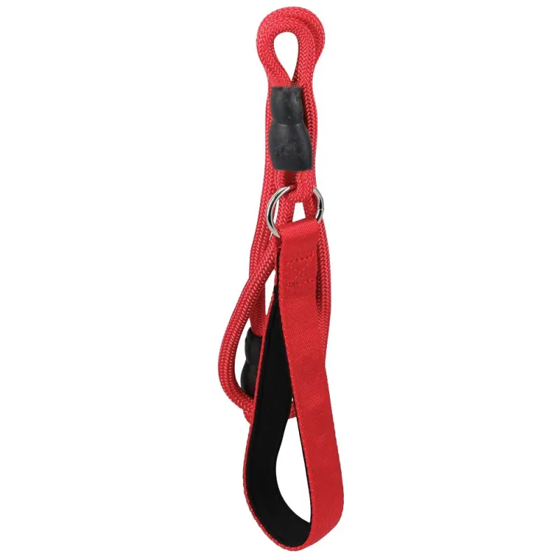 Laisse chien polyester 120 cm - robuste et pratique - Ducatillon