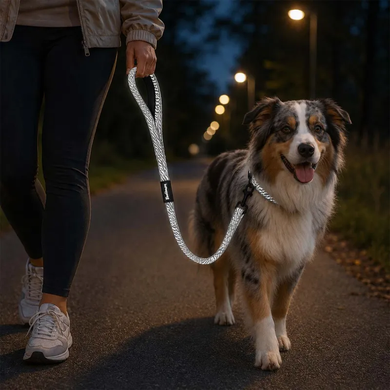 Laisse pour chien avec poignée réfléchissante - Gris 100 cm - Ducatillon