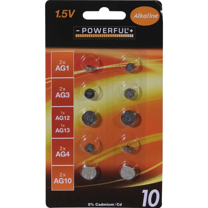 Lot de 10 piles alcalines bouton – Pack multi-références - Ducatillon