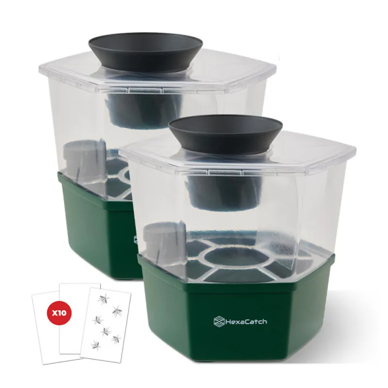 Lot de 2 pièges pour limiter la ponte des moustiques Hexacatch - Ducatillon