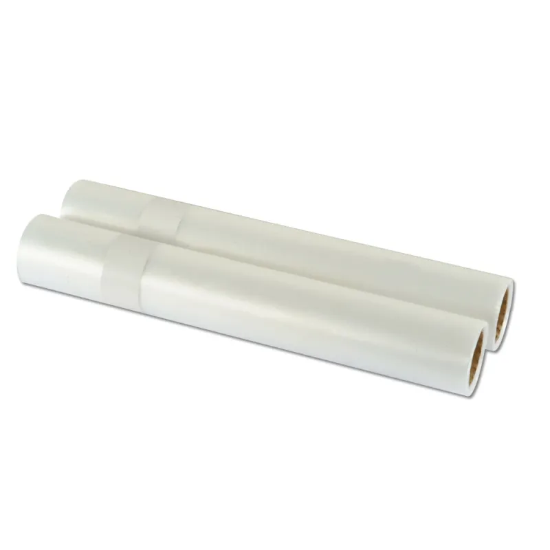 Lot de 2 Rouleaux pour machine sous vide 5 m x 28 cm - Le Pratique