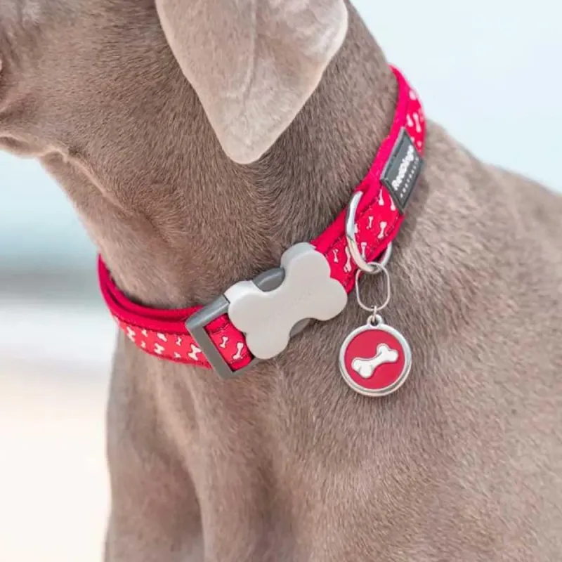Médaille personnalisable en acier inoxydable - RedDingo - Ducatillon