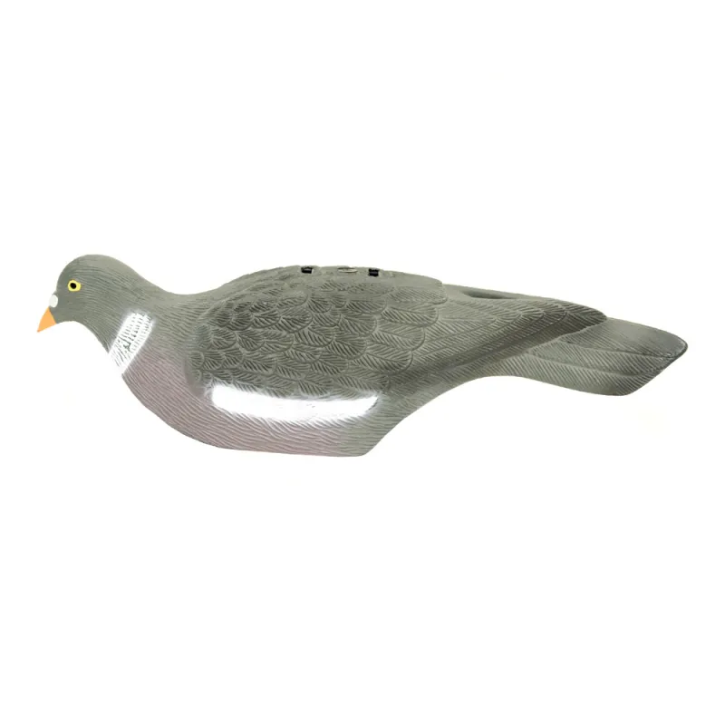 Pigeon ramier en coquille léger - Ducatillon