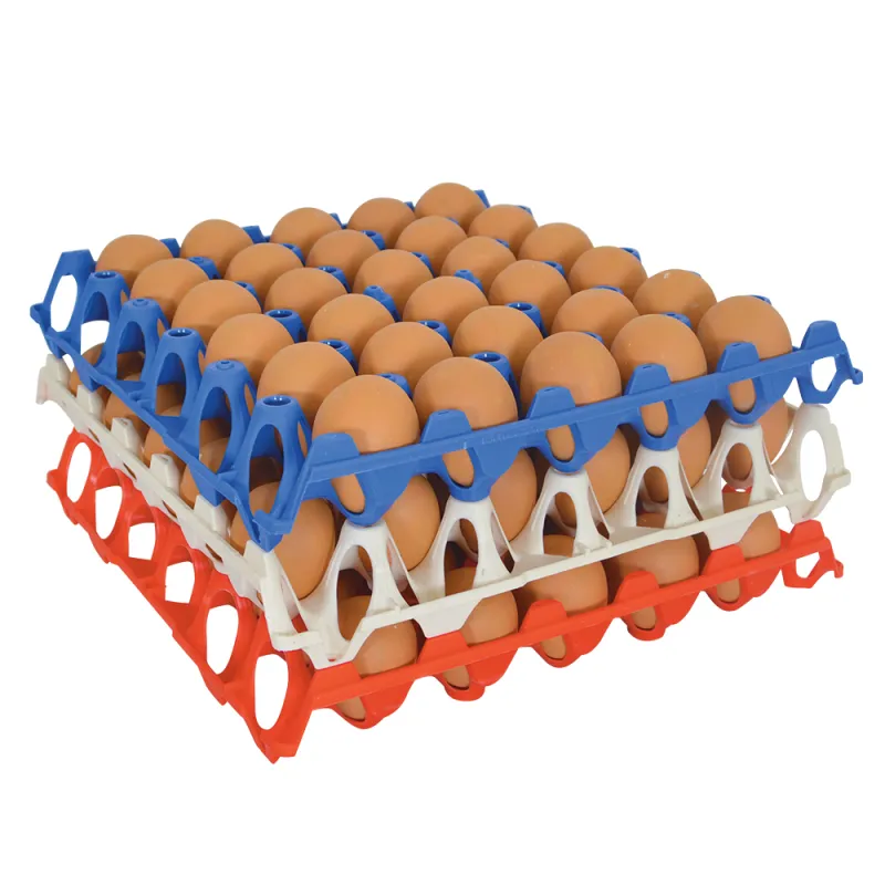 Plateau pour 30 œufs en plastique empilable 30 × 30 cm, à l'unité - Ducatillon