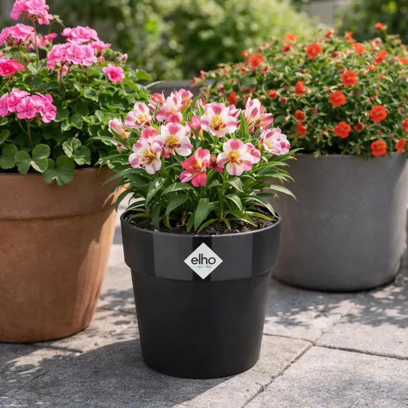 Pot plastique diamètre 22 cm hauteur 20cm noir Elho - Ducatillon