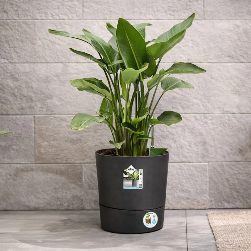 Pot de jardin Ø43xH43cm gris anthracite Elho en plastique recyclé - Ducatillon