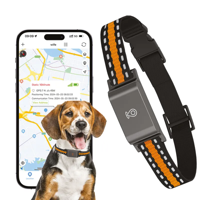 Collier traceur GPS 4G pour animaux - IP65 - Application gratuite - Ducatillon