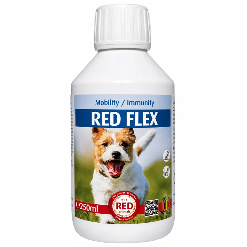 Traitement Rhumatisme Chien - Solution Anti-Inflammatoire Naturelle - Red Animals