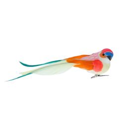 Oiseau à clipser corail multicolore