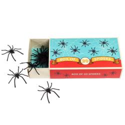 Boite de 20 araignées