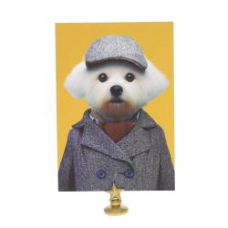 Carte bichon maltais