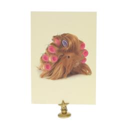 Carte cochon d'Inde bigoudis