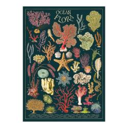 Affiche vintage Flore des océans