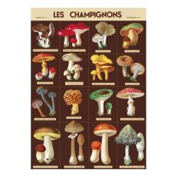 Affiche vintage champignons