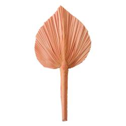 Feuille de palme rose 20-25 cm