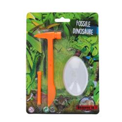 Kit fossile de dinosaure