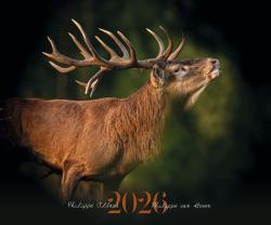 Calendrier animalier 2026, MADE IN CHASSE - Equipements de chasse