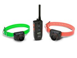 Collier de repérage Dogtra RB1002 - 2 chiens, MADE IN CHASSE - Equipements de chasse