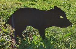Silhouette métallique Marcassin haut, MADE IN CHASSE - Equipements de chasse