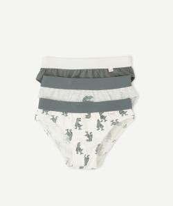 Lot de 3 slips garçon en coton biologique thème dinosaure - 6 A