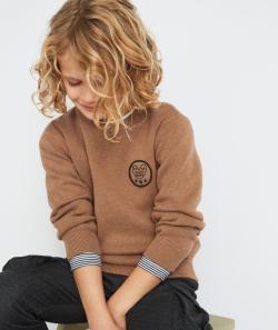 Pull en tricot marron avec écusson garçon - 12 A