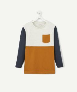 T-shirt colorblock en coton biologique garçon avec poche - 6 A